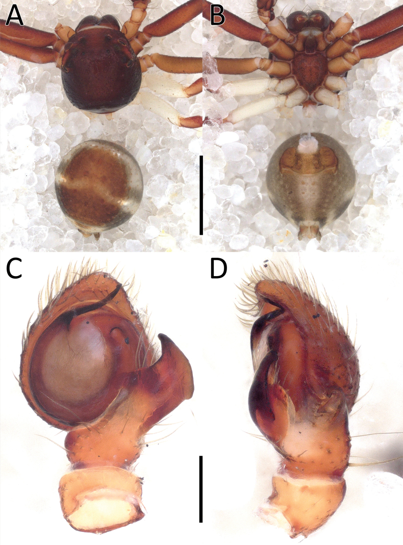 Figure 16