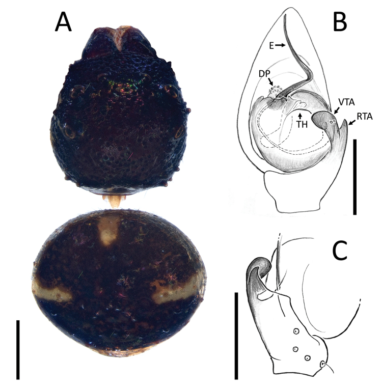Figure 18