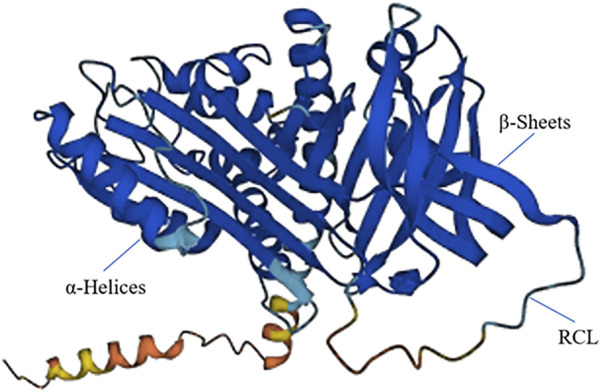 FIGURE 1