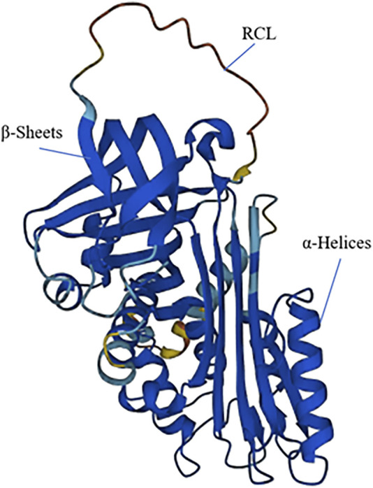 FIGURE 2