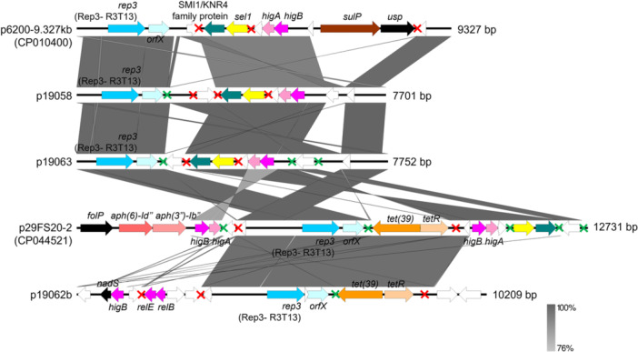 Figure 5