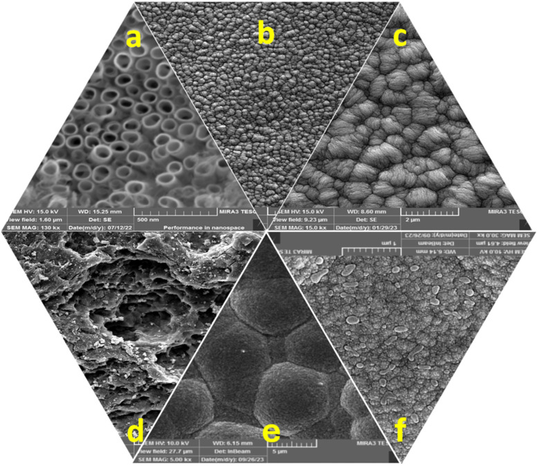 Fig. 7