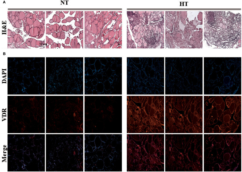 Figure 6