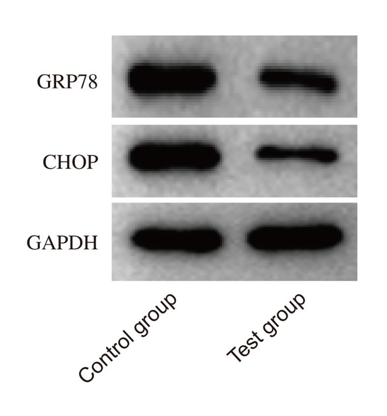 Fig 2