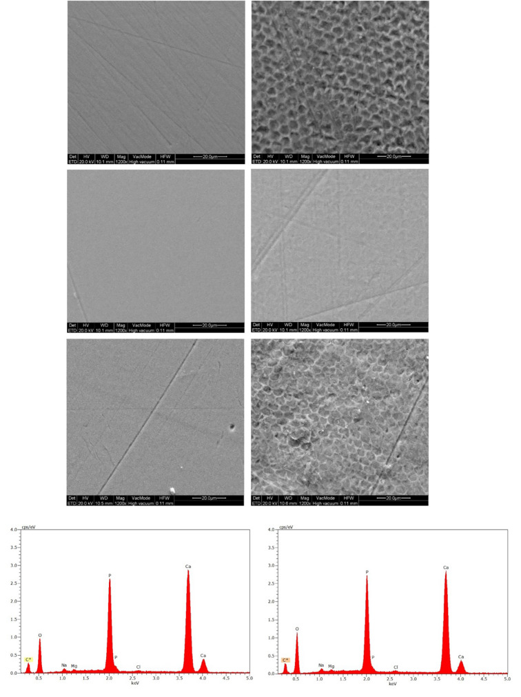 Fig 3