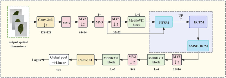 Figure 3