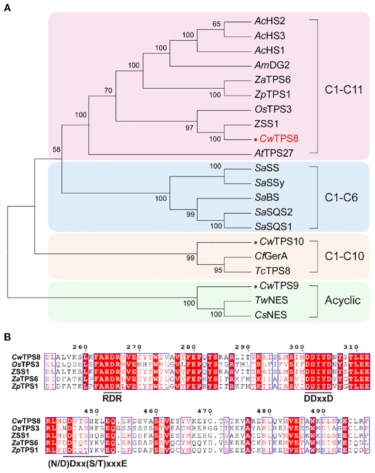 Figure 2