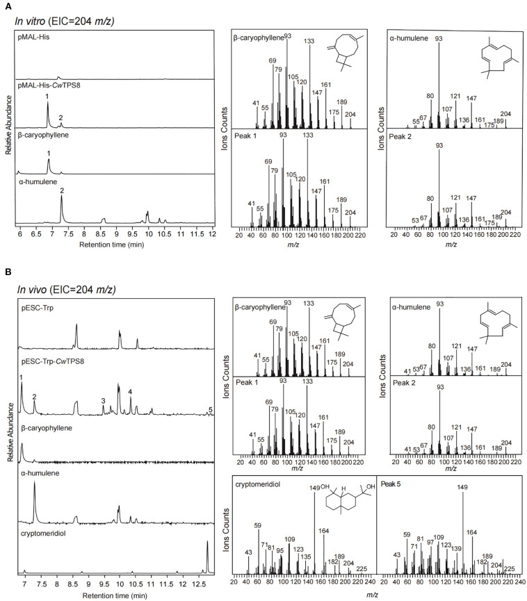 Figure 3