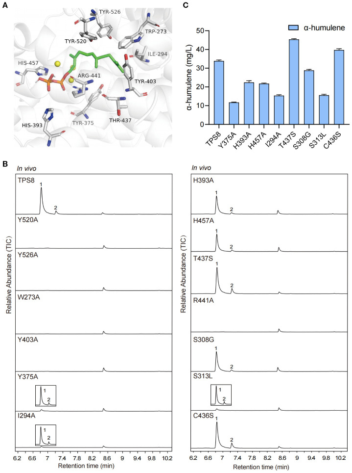 Figure 4
