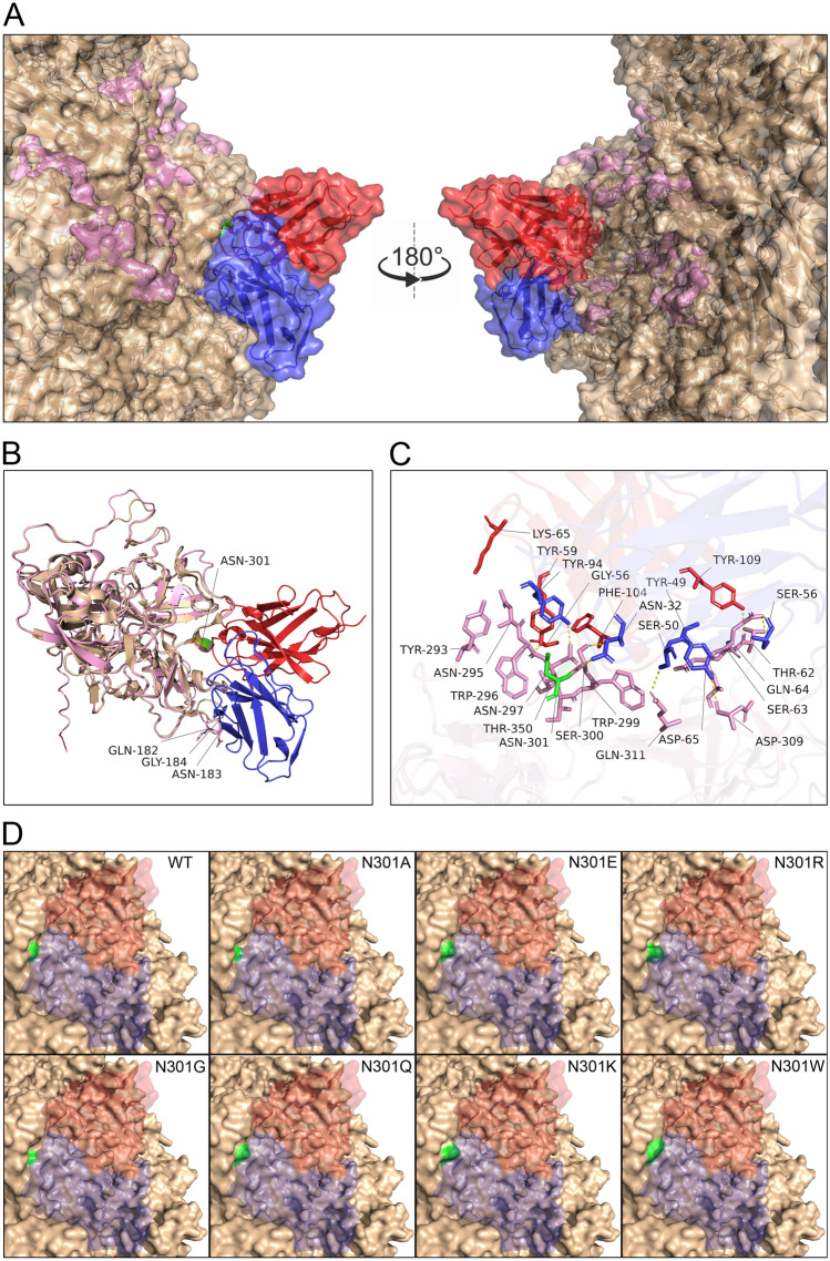 Figure 6