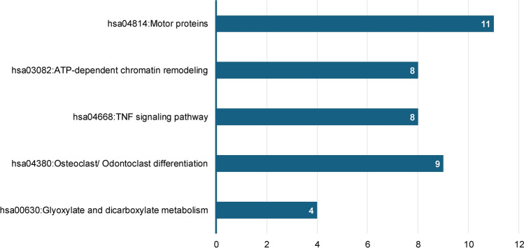 Figure 7