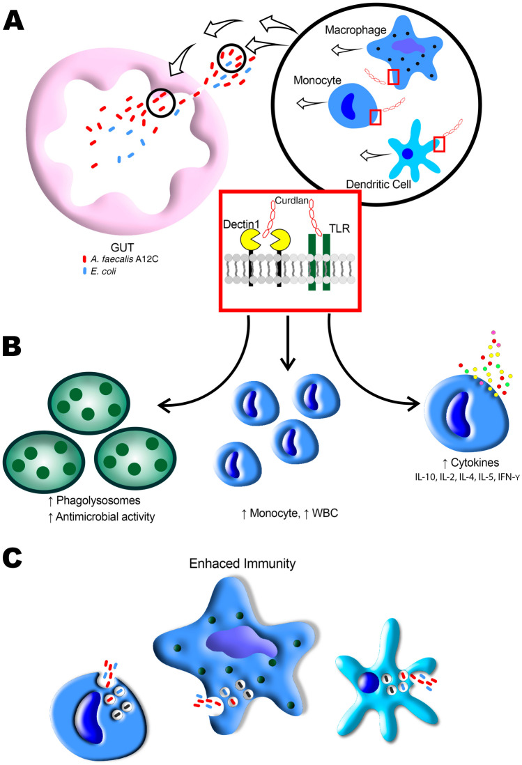 Figure 14