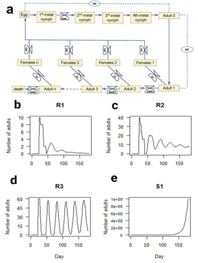 Figure 6