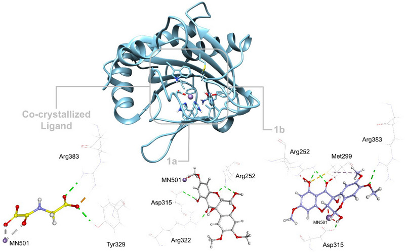 FIGURE 6