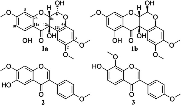 FIGURE 1