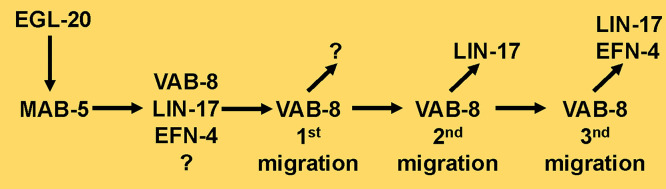 Fig 7
