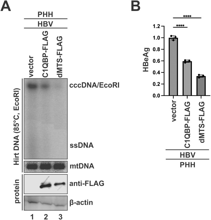 Fig 9