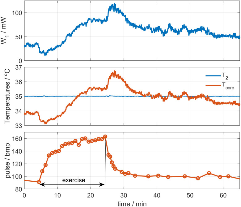 Fig 11