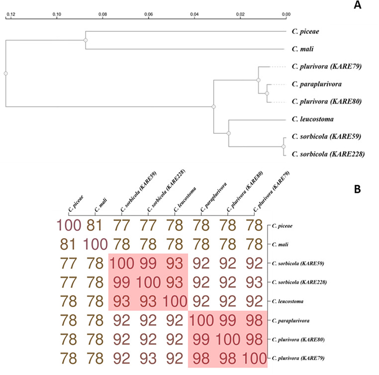 Fig 4