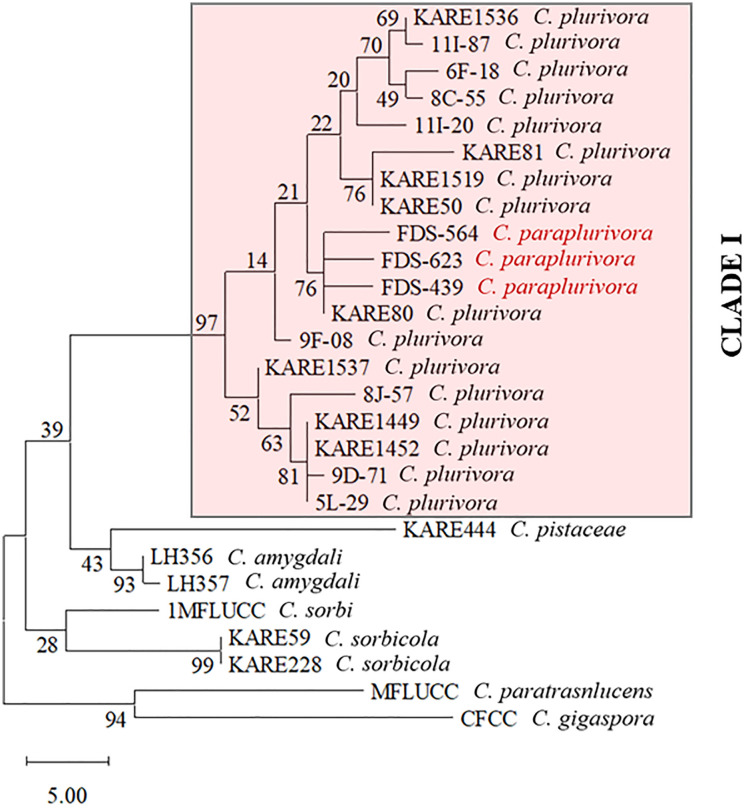 Fig 6