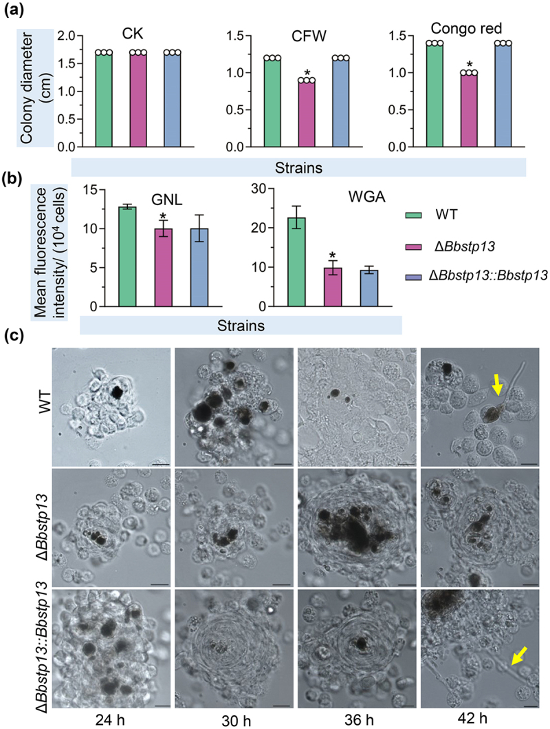 Figure 11