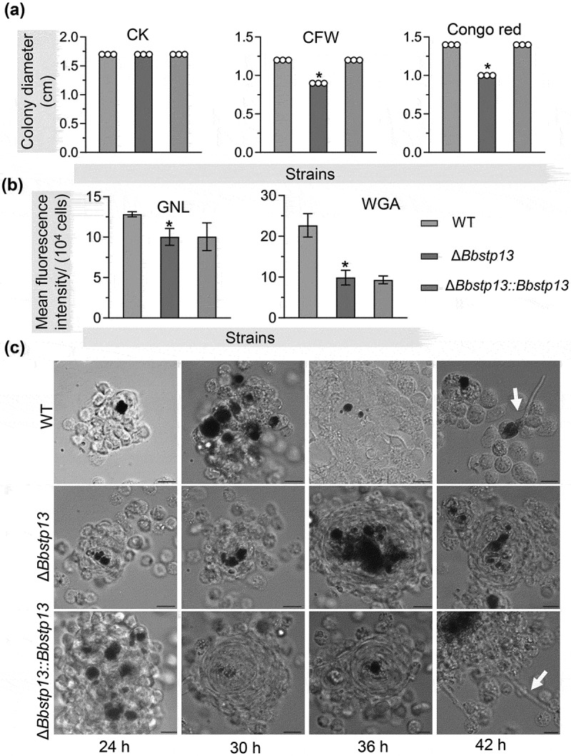 Figure 12