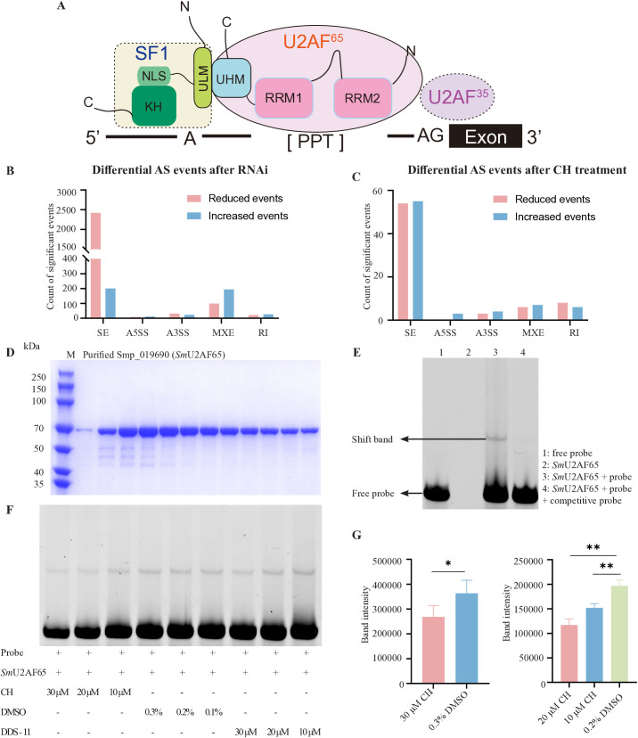 Fig 6