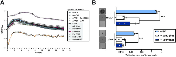 Fig 2