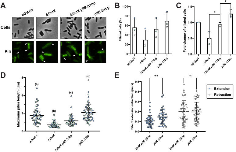 Fig 6