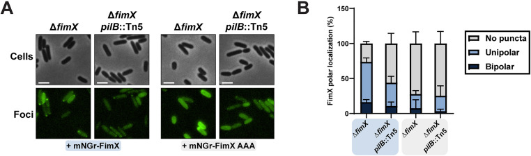 Fig 7