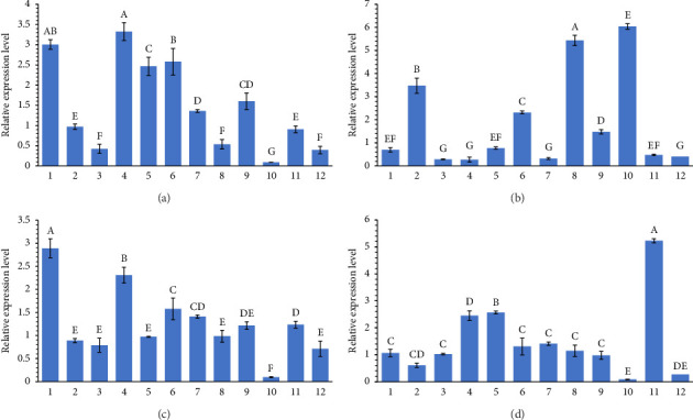 Figure 5