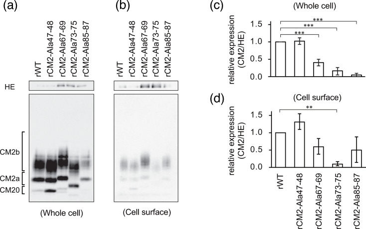 Fig. 4