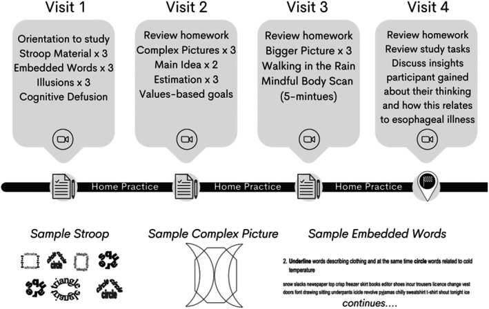 FIGURE 1