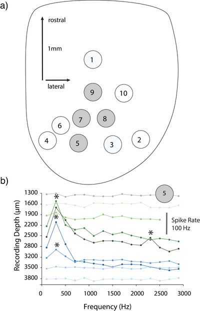 FIGURE 12
