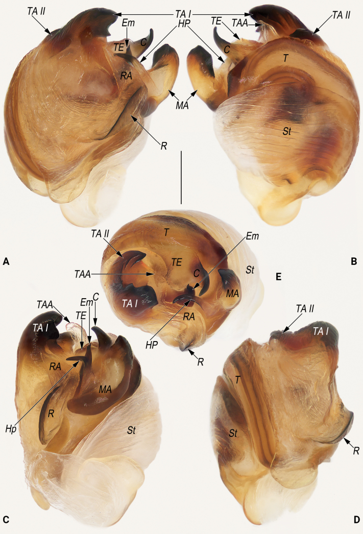 Figure 9