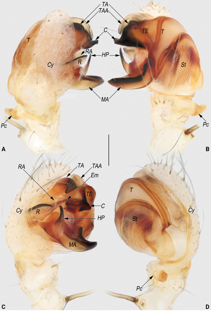 Figure 13