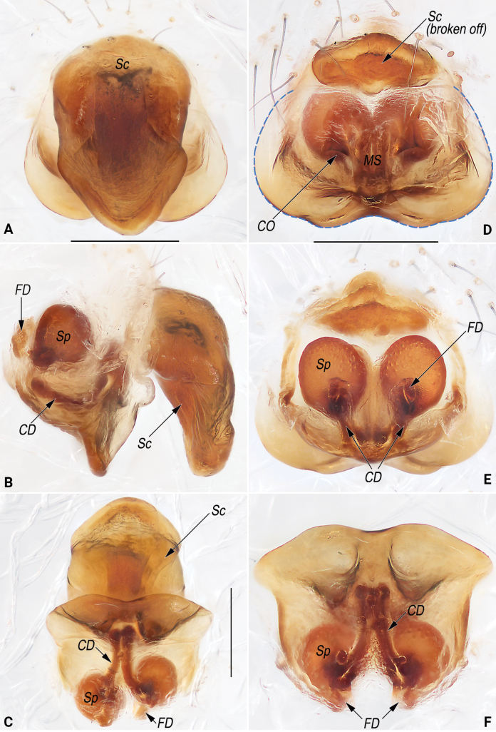 Figure 14