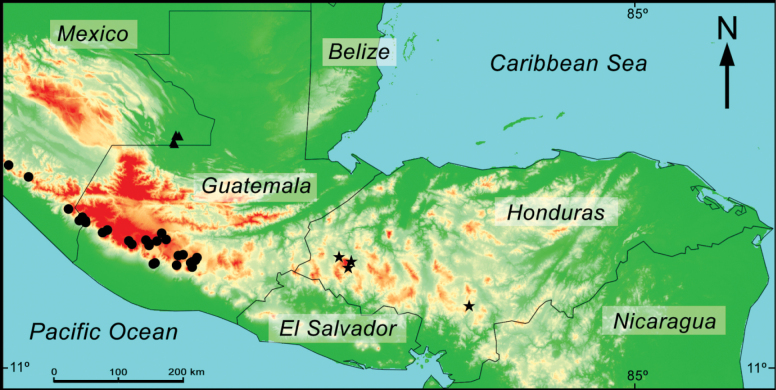 Figure 13