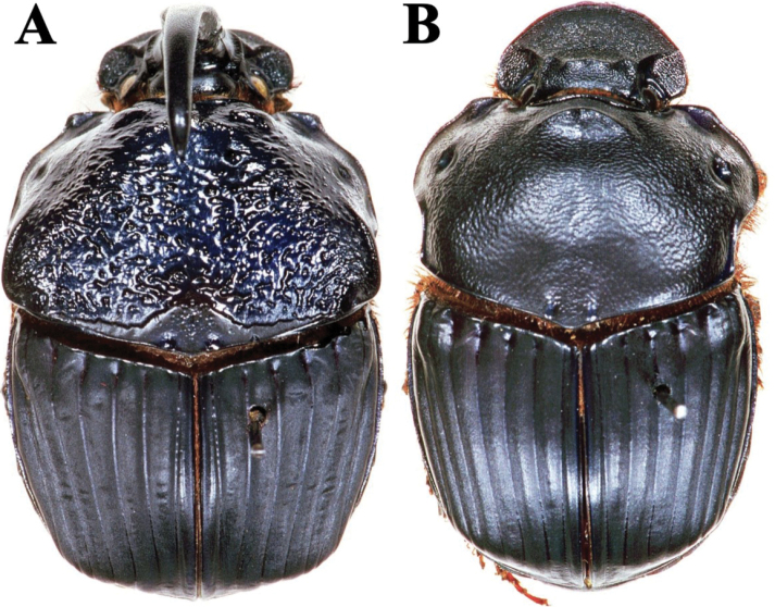 Figure 14