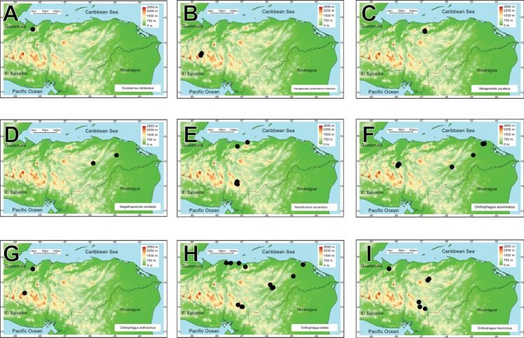 Figure 21