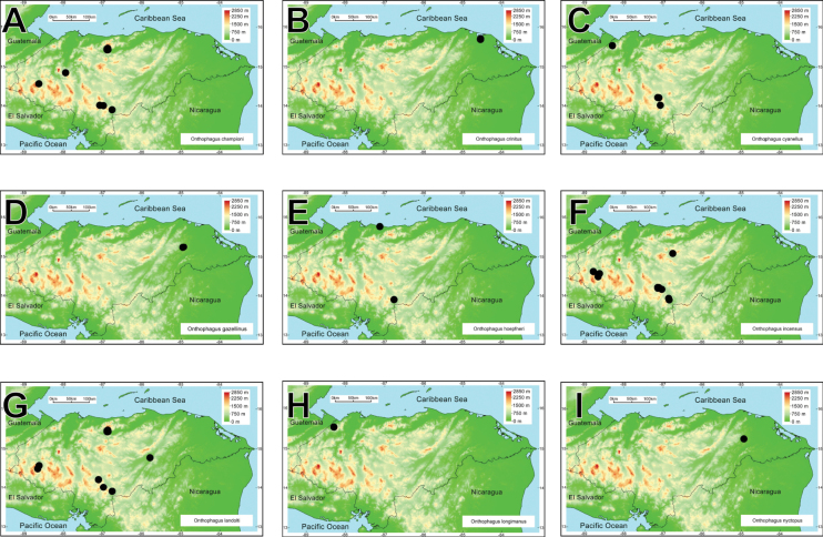 Figure 22