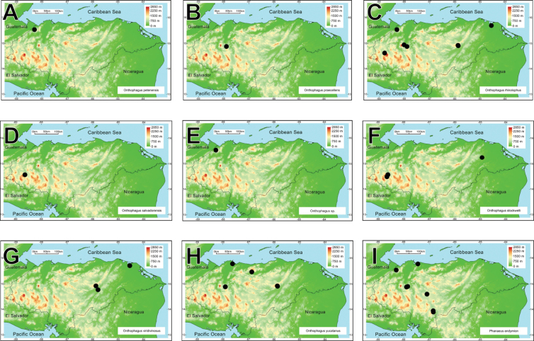 Figure 23