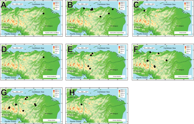 Figure 25