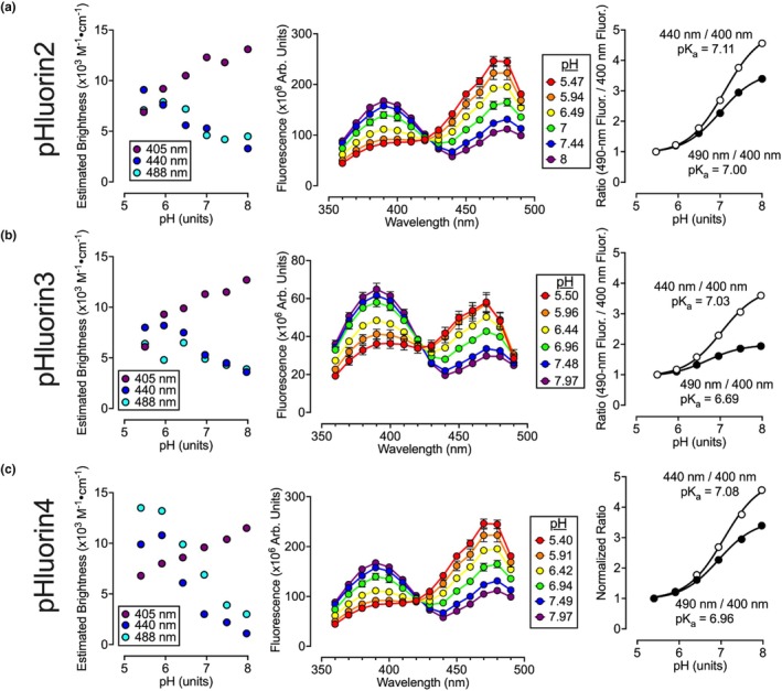 FIGURE 4