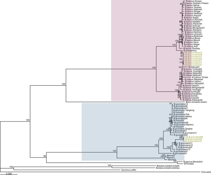 FIGURE 2