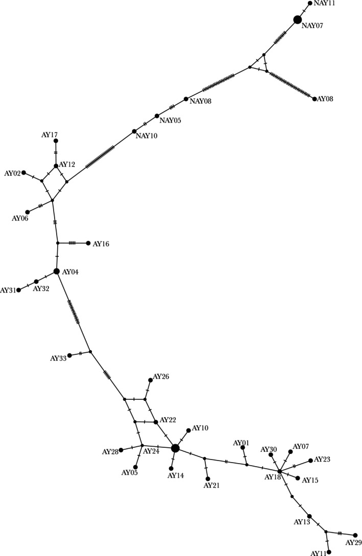FIGURE 3