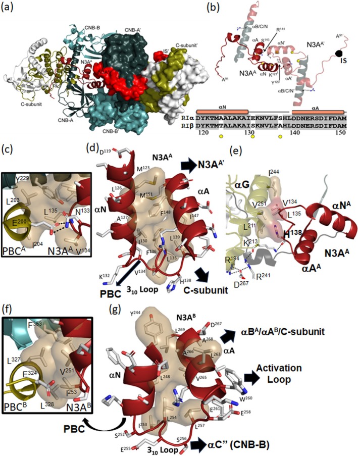 FIGURE 3