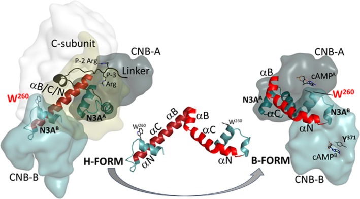 FIGURE 6