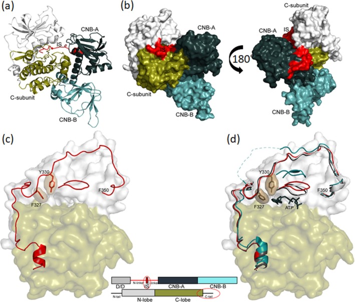 FIGURE 1
