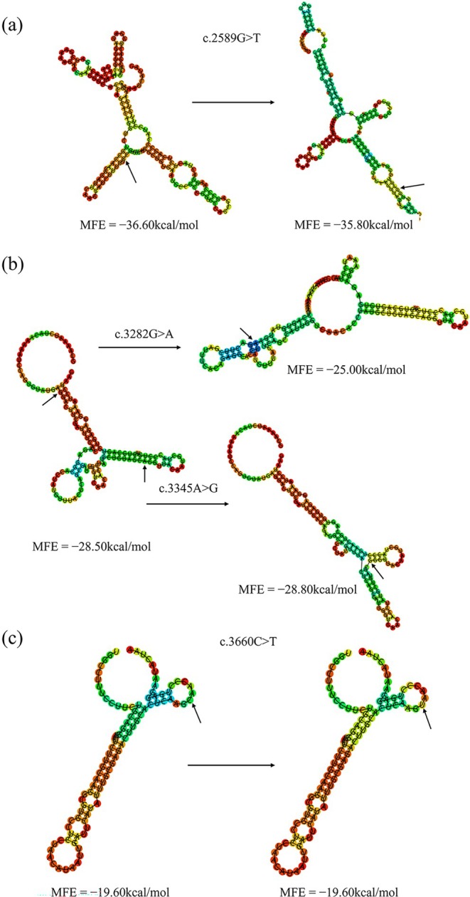 FIGURE 6